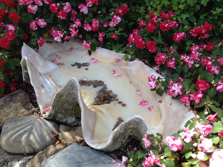 Giant shell full of water and coins from people making wishes.
