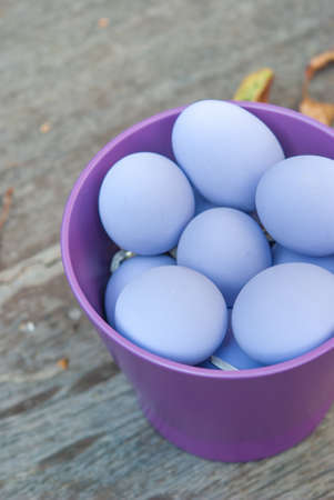 Purple eggs in purple bowlの写真素材
