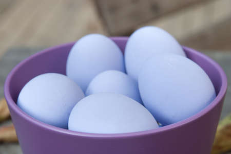Purple eggs in purple bowl