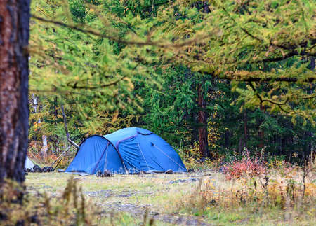 tent standing in the woodsの写真素材