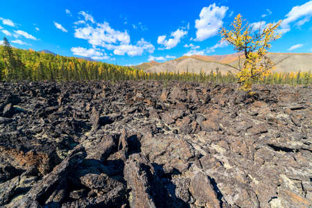 The valley is covered with solidified lava mountains in the backgroundの写真素材