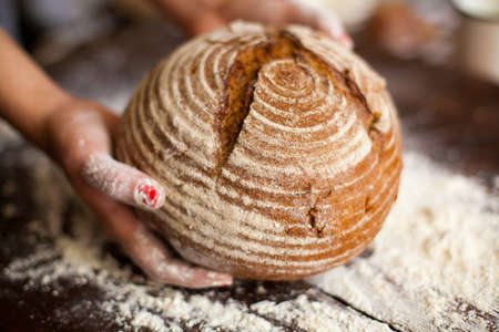 Hands of a woman are taking fresh cracked bread from the wooden table poured with flourの写真素材