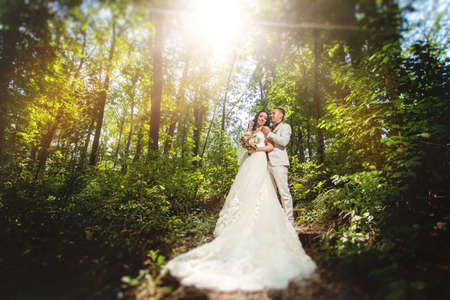 Young couple of bride and groom in wedding clothes in the forestの写真素材
