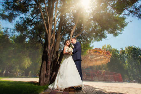 Bride and groom near big tree in front of carouselの写真素材