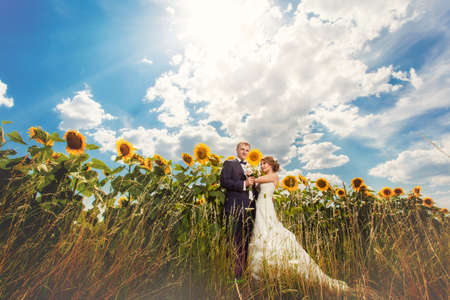 Wedding couple standing on the field of sunflowers in summerの写真素材