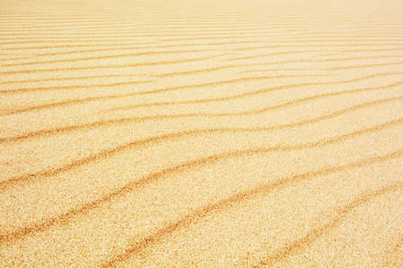 Beautiful Sand Dune Wavesの写真素材