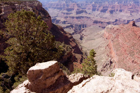 Grand Canyon National Parkの写真素材
