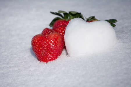 Lovely strawberries and snow heart shape on white snow backgroundの写真素材