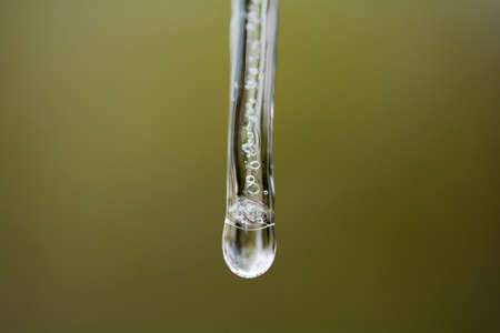 Pretty Crystal Icicle Texture on Green Backgroundの写真素材