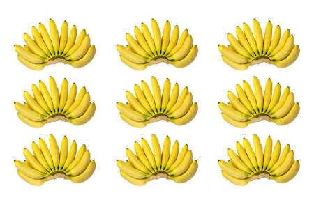 Bright Fresh Yellow Baby Bananas Brunches Pattern Isolated on White Backgroundの写真素材