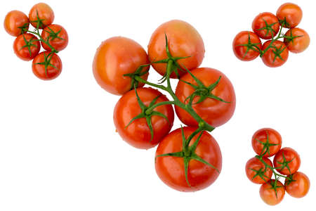 Red Fresh Ripe Tomatoes with Water Drops and Green Stem Isolated on White Backgroundの写真素材