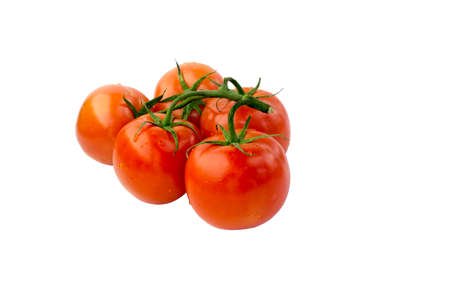 Red Fresh Ripe Tomatoes with Water Drops and Green Stem Isolated on White Backgroundの写真素材