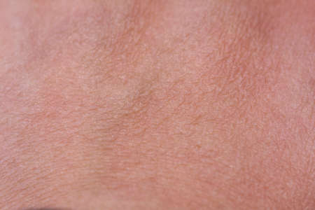 Close Up Top of Hand Skin Texture with some Hairsの写真素材