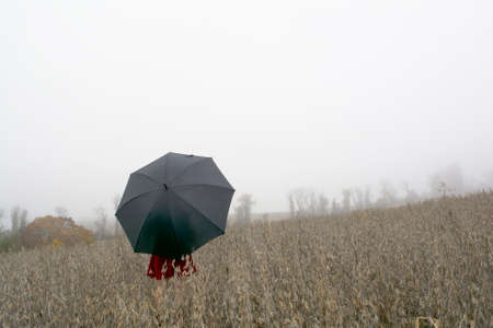 Woman in red dress on the back with black umbrella against a morning foggy watching soybean fieldの写真素材