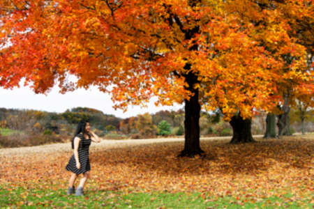 Blur photo of asian woman standing under the maple tree in Autumn