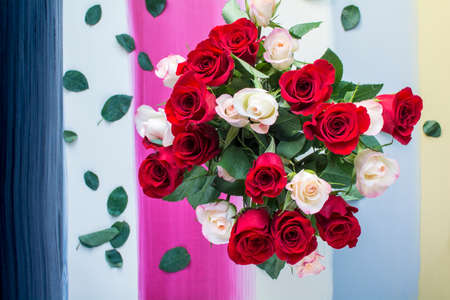 Mixed red and white roses on colorful stripes painted wood background, Top shot of red and white roses on colorful painted backgroundの写真素材