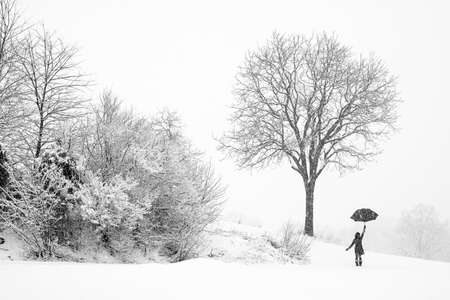 A woman walking alone in snow storm watching falling snow, Woman holding an umbrella up walking in snow storm, Lonely woman in the winter wonderlandの写真素材