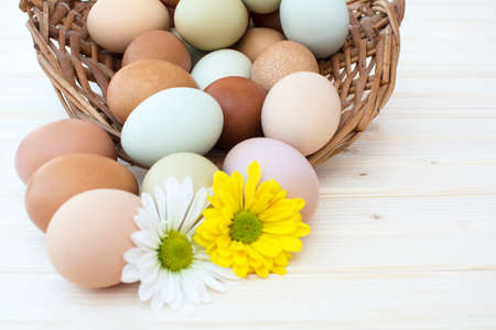 Colorful organic easter chicken eggs overflow out of basket with chrysanthemum flower on wooden background, Colorful chrysanthemum flower on natural chicken eggs, Selected focus organic easter chicken eggs in old dusty basketの写真素材