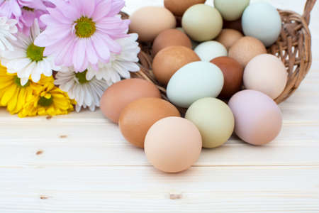 Chrysanthemum flower and colorful fresh organic chicken eggs in basket on wooden background, Colorful natural chicken eggs, Selected focus organic chicken eggs overflow out of the basket, Easter eggs,の写真素材