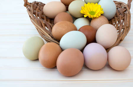 Colorful organic easter chicken eggs overflow out of basket with chrysanthemum flower on wooden background, Colorful chrysanthemum flower on natural chicken eggs, Selected focus organic easter chicken eggs in old dusty basketの写真素材