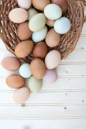 Colorful fresh organic chicken eggs overflow out of old dusty basket on wooden background, Colorful natural chicken eggs, Selected focus organic chicken eggs overflow out of the basketの写真素材
