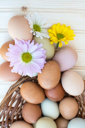 Colorful fresh organic chicken eggs overflow out of basket with chrysanthemum flower on wooden background, Colorful chrysanthemum flower on natural chicken eggs, Selected focus organic chicken eggs overflow out of the basketの写真素材