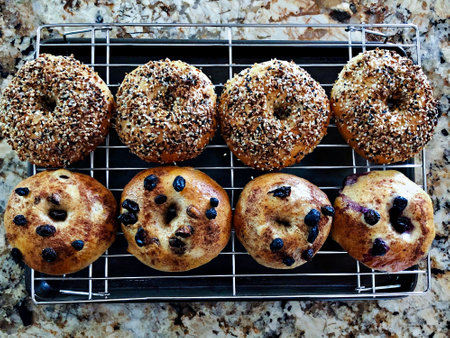 Variety mix homemade organic bagels lying on steel cooling rack in baking sheet on granite countertop, everything bagels, cinnamon raisin and cinnamon blueberry bagels.の写真素材
