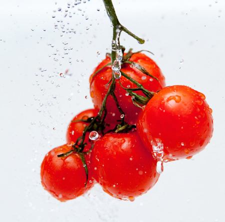 Fresh red tomato in the drops of waterの写真素材