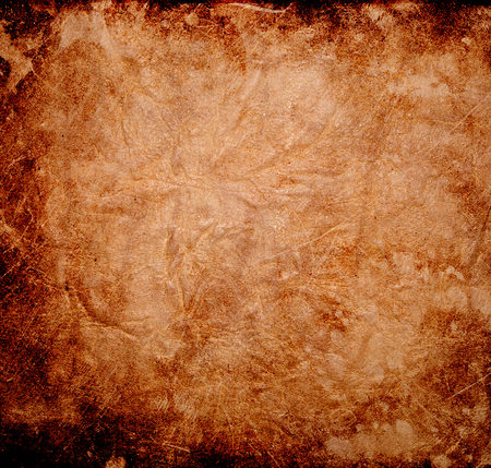 leather textured background from skin of cowの写真素材