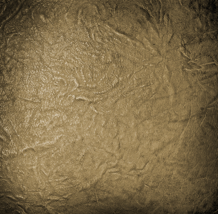 leather textured background from skin of cowの写真素材