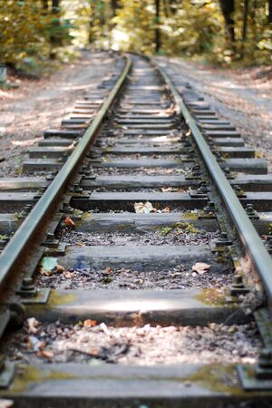 Lonely rails in the forest in the autumn