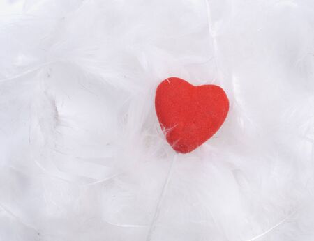 White feathers of birds at white background with heartの写真素材