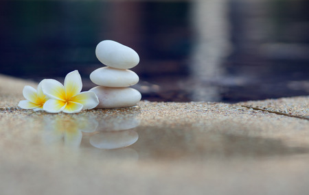 White stones and white plumeria near water in wimming poolの写真素材