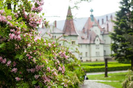 Beautiful view of ancient castle with chimneys, spire and bell tower surrounded by blossoming trees and green hengeの写真素材