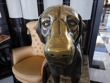 Beautiful bronze statue of a  dog is  in the restaurantの写真素材
