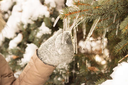 Young woman in winter parkの写真素材