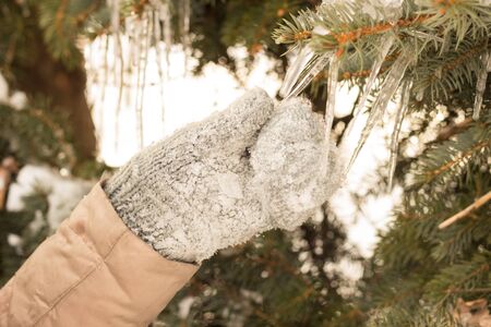 Young woman in winter parkの写真素材