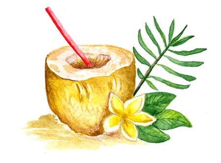 Watercolor tropical image with coconut and flowers and leafsの写真素材