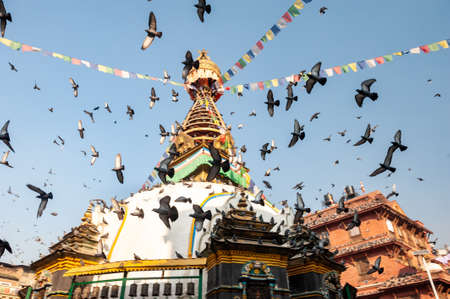 Gray pigeons in flight around stupa in beautiful Durbar Square in the picturesque city of Kathmandu. Pigeons fly around a sacred buddhist structure. Kathmandu, Nepal.の写真素材