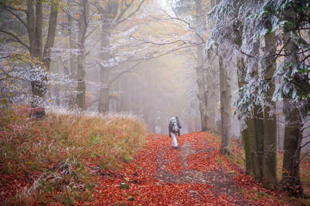 Young woman with big backpack trekking in mountains of Beskydy. Wandering in Beskid Slaski mountains. Nature of Czechia. Mountains. Forest. Woman hiking.の写真素材