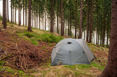 Camping green tent in misty foggy forest of Beskydy mountains. Camping in mountains. Outdoor vacation.の写真素材