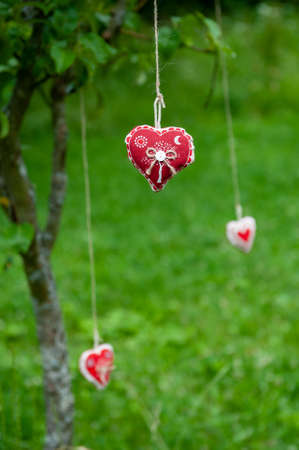 Three handmade cotton fabric heart hanging on bast string on tree on green grass background. Red fabric heart hanging on the clothesline. Summer wedding theme. Love and valentine in nature.の写真素材