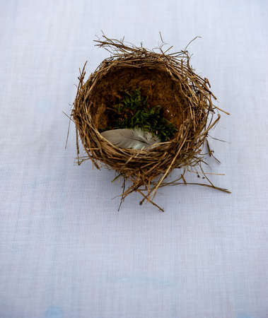 Bird nest with moss and feather inside isolated on white background. Detail of blackbird nest isolated on white. Summer wedding nature decoration.の写真素材