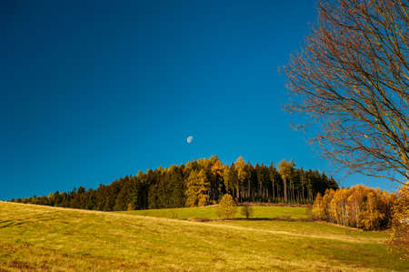 Sunny day in autumn forest, fields and meadow in bright yellow and green. Afternoon sunbeams on meadow. Warm sun light in countryside of Bohemian Moravina Highlands, Å½ÄÃ¡r Hills, Vysocina, Czech Republic.の写真素材
