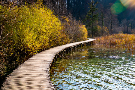 Plitvice Lakes National Park during colorful autumn, Croatia, Europe. Fall colors leaves on trees. Waterfalls and water in sunny morning light with fog. Landscape photography. View of Plitvice Lakes.の写真素材