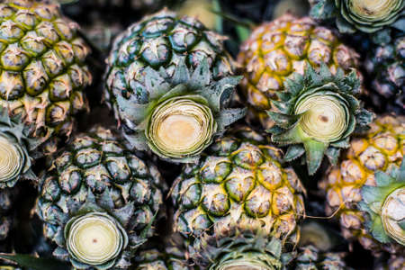 Pineapples stacked in a pileの写真素材