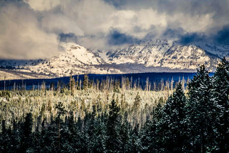 Yellowstone National Forestの写真素材