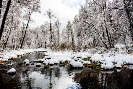 Winter landscape with a fresh layer of snowの写真素材