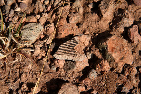 Native American Anasazi pottery shardの写真素材