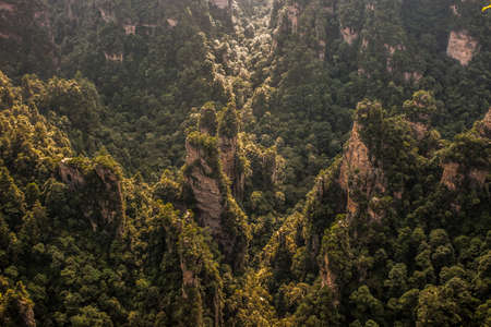 karst pillars at wulingyuan national park, zhangjiajie, hunan province, chinaの写真素材